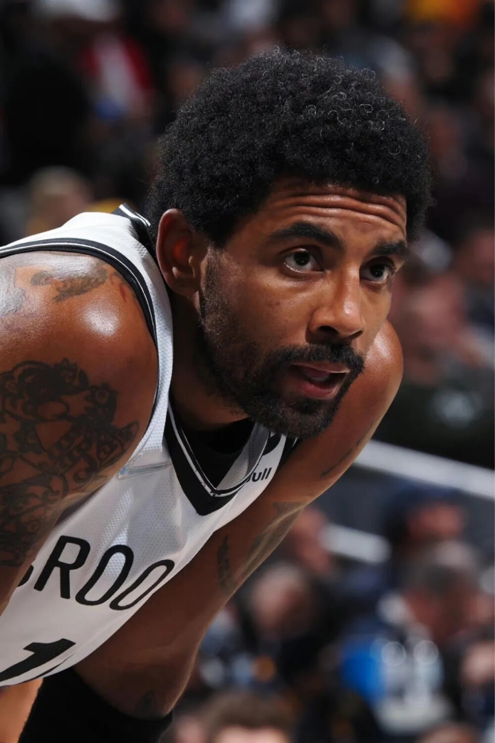 篮球巨星戈贝尔生涯里程碑（戈贝尔职业生涯迎来里程碑时刻）